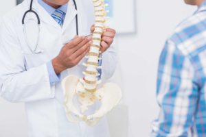 Doctor showing spine model